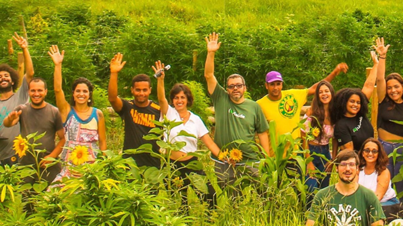 Apepi - Associação de Apoio a Pacientes e Pesquisa de Cannabis Medicinal