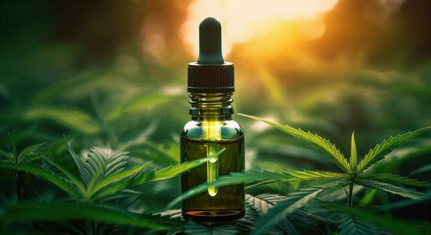 cbd-neuroprotetor CBD é neuroprotetor