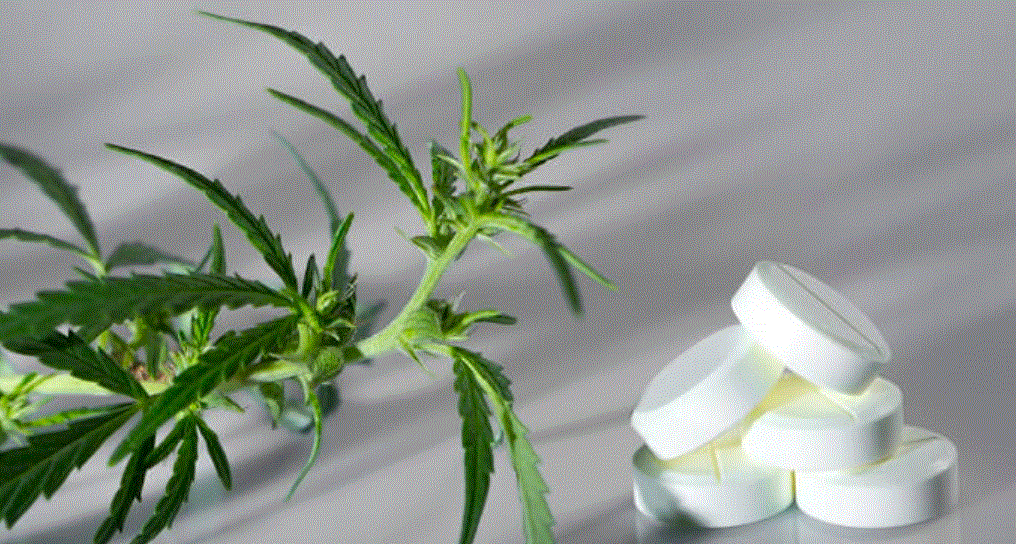 thc-sintetico-alzheimer-pesquisa